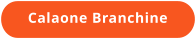 Calaone Branchine
